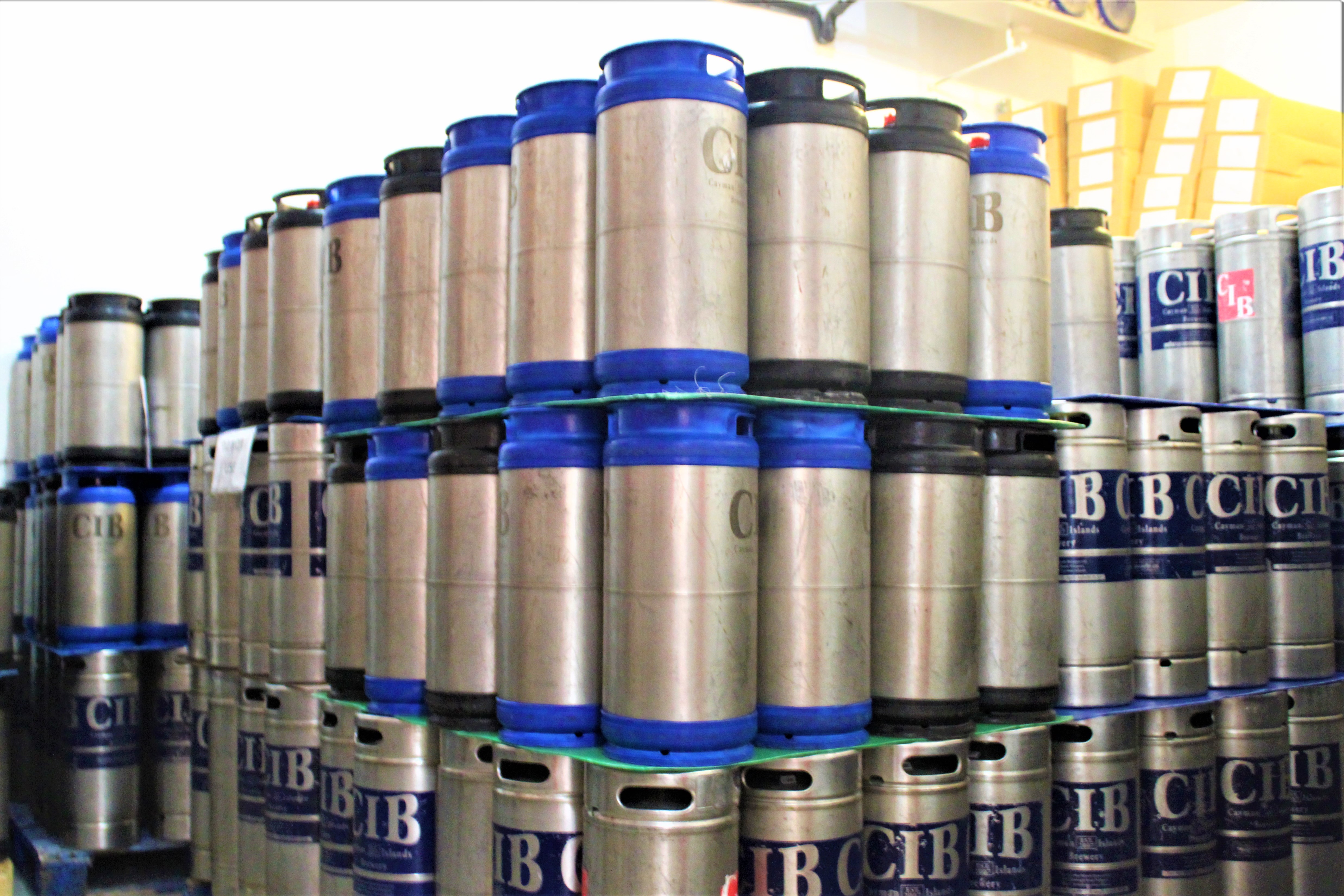 Plastic Kegs The honest truth Blog