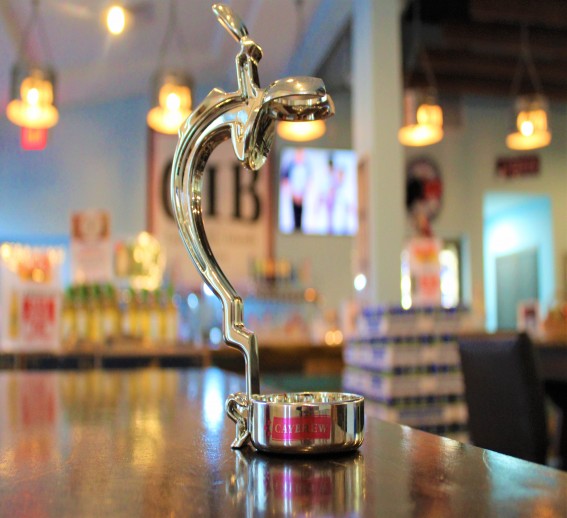 Buy Beer Holder Stein Best Brewery Merchandise Cayman Islands Brewery